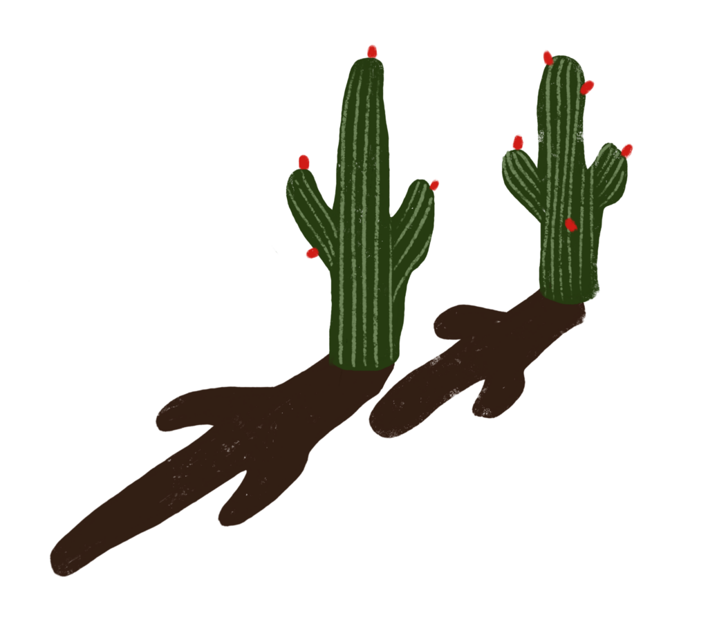 Page 8_ Cacti